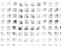 Grid Distortion