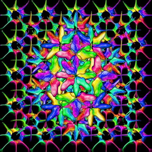 CD Cover Entry